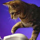 Кузьма Кузьмин, 12.08, Нижний Новгород