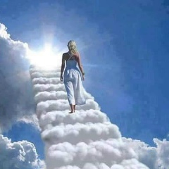 Бродяга Бродяга