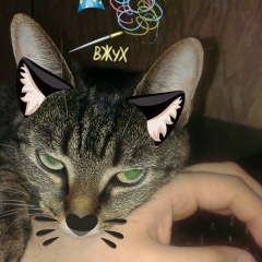 Алексей Назаров, 11.11, Санкт-Петербург