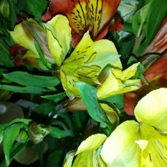 Наталья Никерина, 29.01.1986, Нижний Тагил