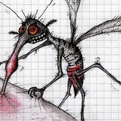 Сергей Комаров, 10.03.1985, Москва