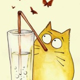 Ника Новицкая, 21.07, Киев