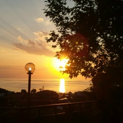 Павел Осин, 16.06.1983, Санкт-Петербург