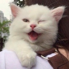 Катерина Савельева, 20.03, Кстово