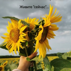 Олеся Гендриксон, Сургут