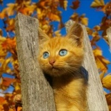 Оксана Малыгина, 22.10.1981, Санкт-Петербург