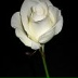Ирина Салмина, 04.05.1972, Наманган
