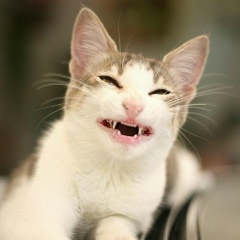 Евгения Каргаева, 30.10.1987, Москва