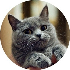 Илья Данилов, 05.10