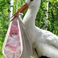 Arsen Vardanyan, 06.10, Нетания