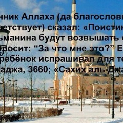 Элина Вачалова, 14.05.1988, Грозный