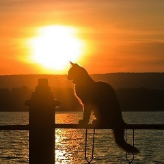 Шурик Кудинов, 15.07, Санкт-Петербург