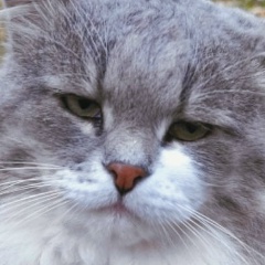 Анна Дьякова, 11.08