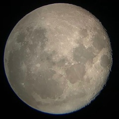 Динара Сулиманова, Москва