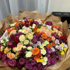 Снежана Снежина, Белгород