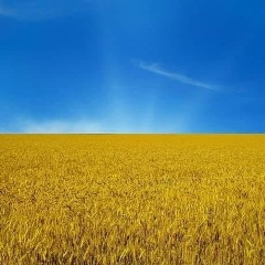 Айнұр Тоқбай, 24.09.1997, Алматы