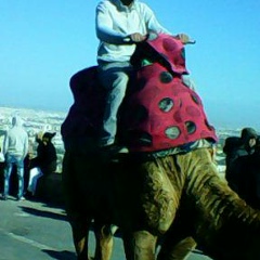 Charif Bourzik, 27.12.1990, Agadir