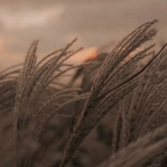 Наталья Широкова, 26.01, Черняховск
