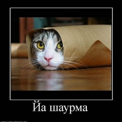 Юрка Marciano, Львов
