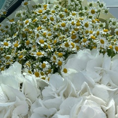 Екатерина Фатеева, Самара