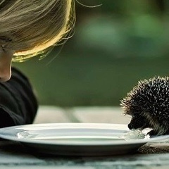 Владимир Карпачев, 19.03, Москва