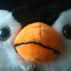 Татьяна Кузьмина, 29.05, Киев