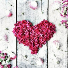 Айжан Жарылкасын, 05.12, Шымкент