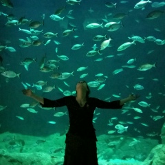 Диана Тепеш, 18.05, Одесса