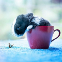 Ирина Соляник, 13.01, Запорожье