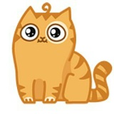 Полина Позднякова, 20.10.1995, Астана