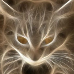 Владимир Иванов, Калининград