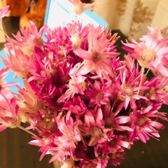 Улкан Кенебаева, 10.11, Москва