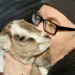 Алексей Мишин, 12.05.1972, Торжок