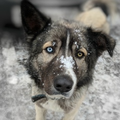 Михаил Шестаков, 20.05, Москва