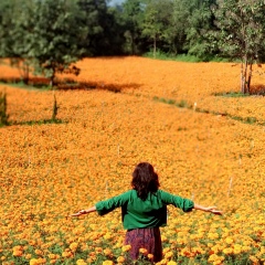 Thi Oo, 02.12.1983, Pyin Oo Lwin (Maymyo)