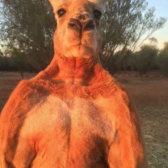 Андрей Крюков, 16.05.1987, Санкт-Петербург