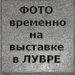 Mike Wise, Санкт-Петербург