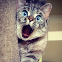 Дима Рытвинский, 03.08.1976, Санкт-Петербург