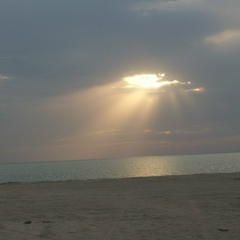 Александра Михайлова, 22.04, Видное