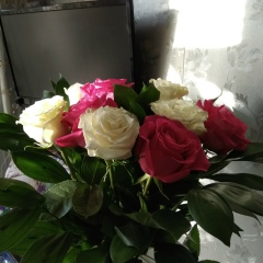 Наталья Смирнова, 05.06.1989, Санкт-Петербург