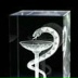 Shushanik Karapetyan, 09.04.1989, Ереван