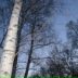 Татьяна Санжиева, 14.05, Москва