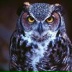 Sahak Sahakyan, Ереван