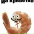 Йа Креветко, 01.04.1988, Бобруйск
