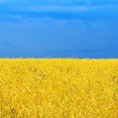 Антон Городецький, 21.04, Киев