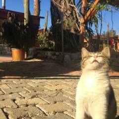 Alexander Maltsev, 02.11.1991, Пермь