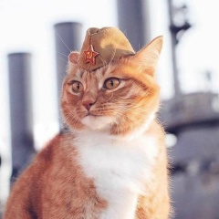 Rocket Fuel, 20.06, Санкт-Петербург