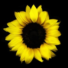 Валерий Макарон, 31.05, Москва