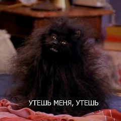 Лиза Кузнецова, 07.01.1991