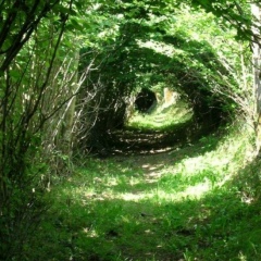 Андрей Климашов, 15.11, Валдай